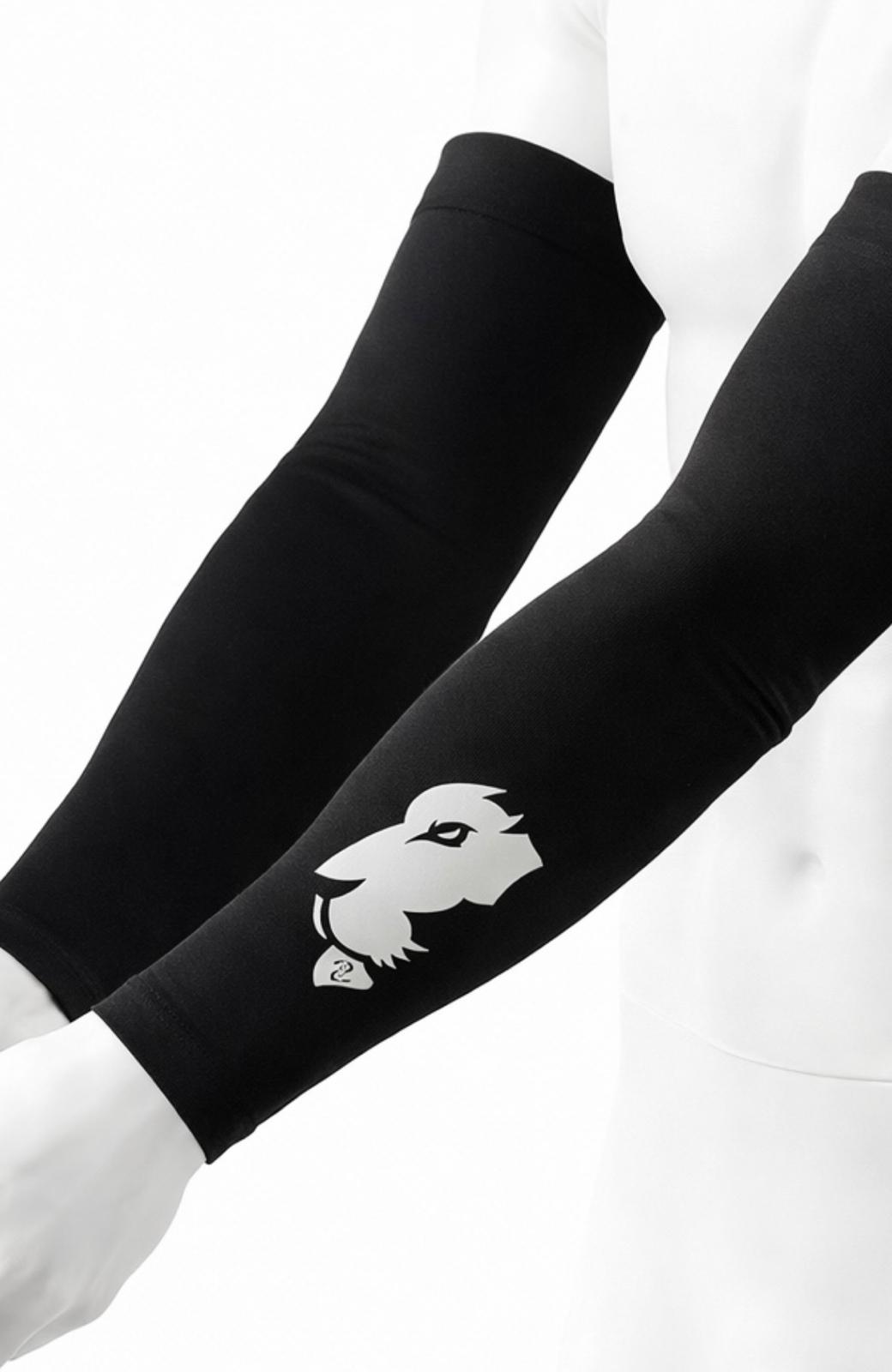 Arm sleeves and Compression pants
